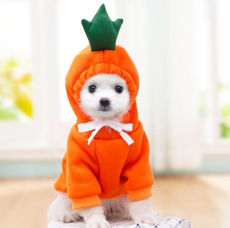 Cozy Fruit Hoodie for Small Dogs or Cats — Warm Winter Style