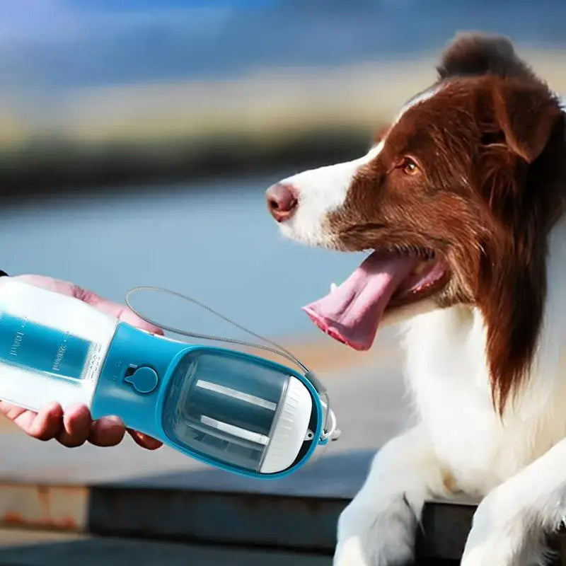 All-in-One Dog Cup: Hydrate, Feed, Clean on the Go