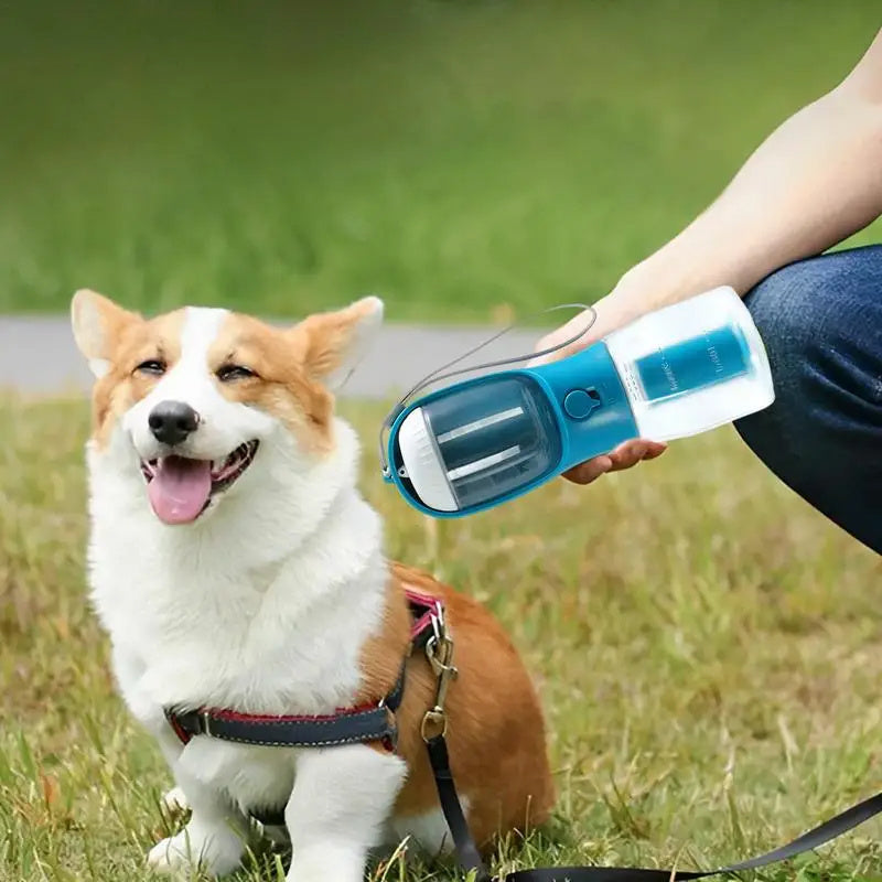 All-in-One Dog Cup: Hydrate, Feed, Clean on the Go